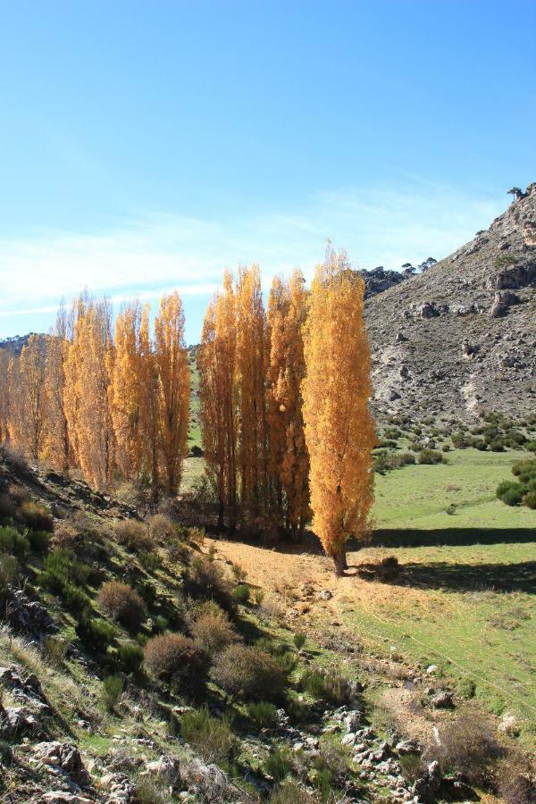 Alojamiento Aguasblanquillas Coto Rios Ngoại thất bức ảnh
